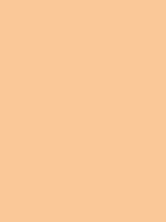 Solid light cream color swatch